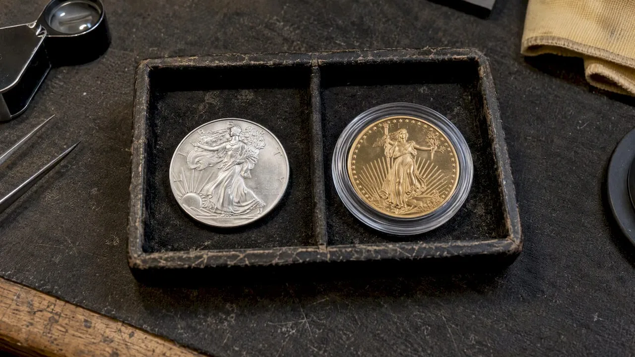 Bullion and collectible coins in examination tray
