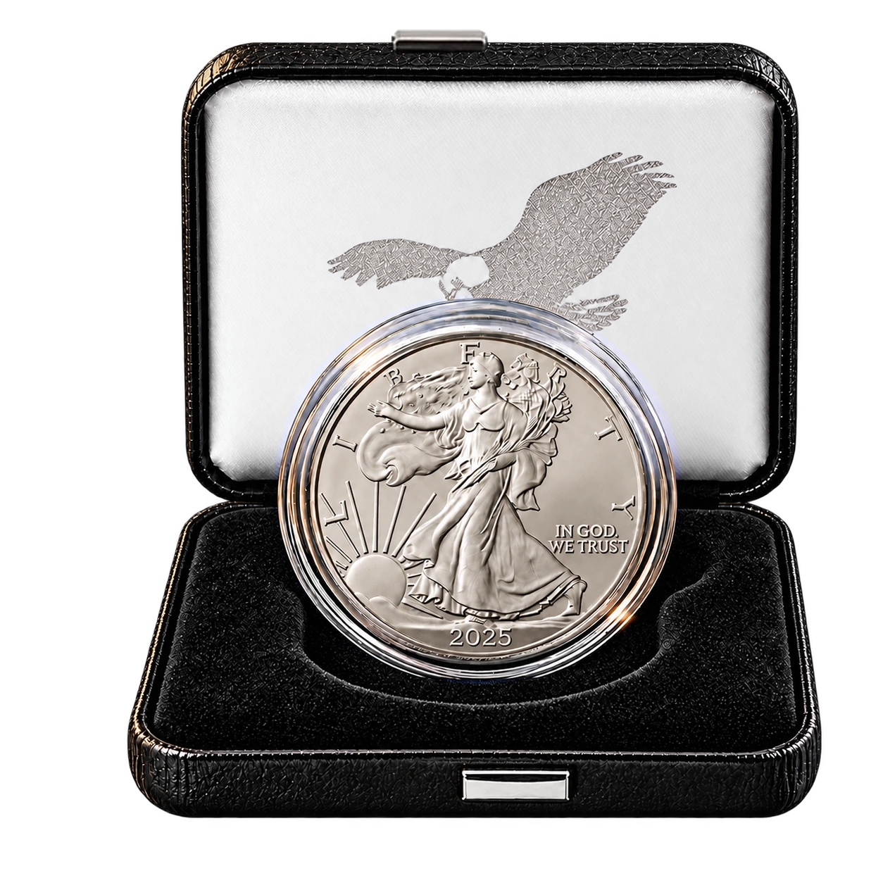 Burnished Silver American Eagle (Box and COA)