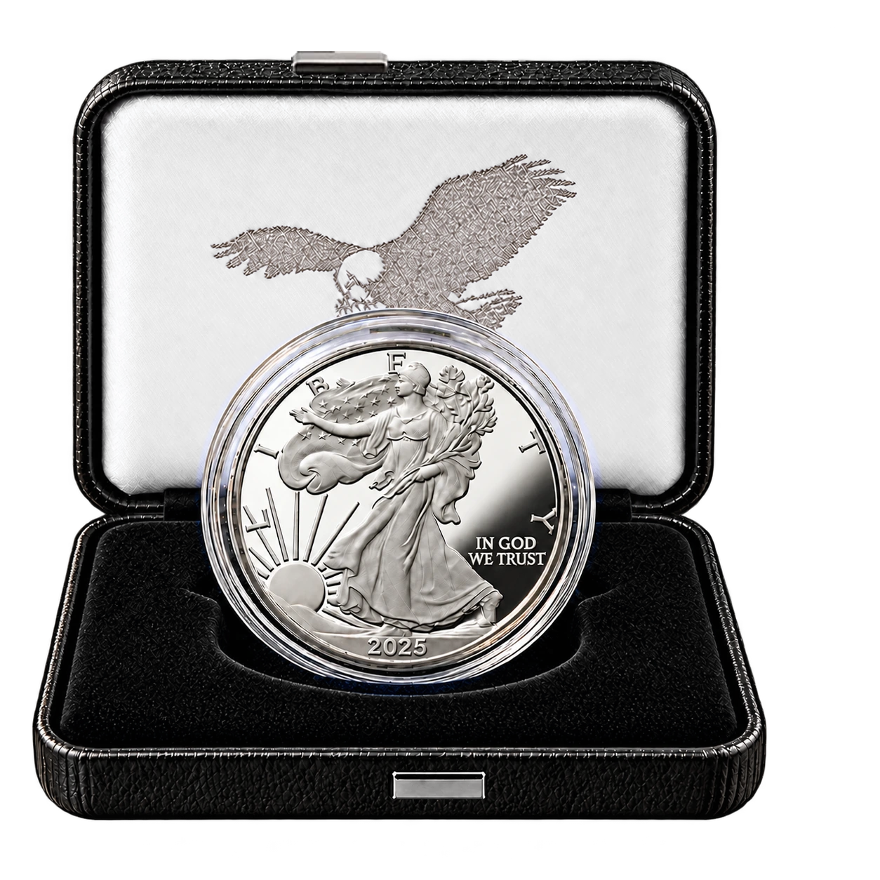 Silver Proof American Eagle (Box and COA)